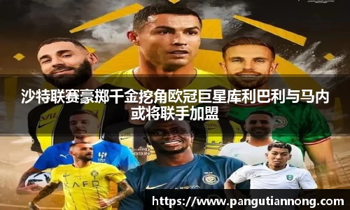 333官方网站体育