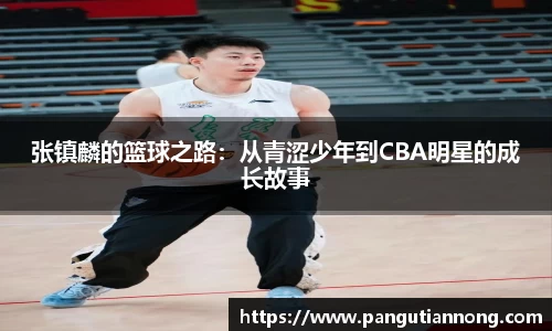 333官方网站体育