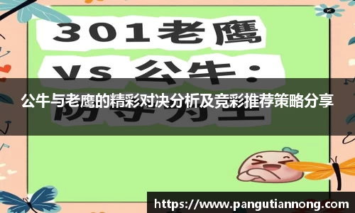 333官方网站体育